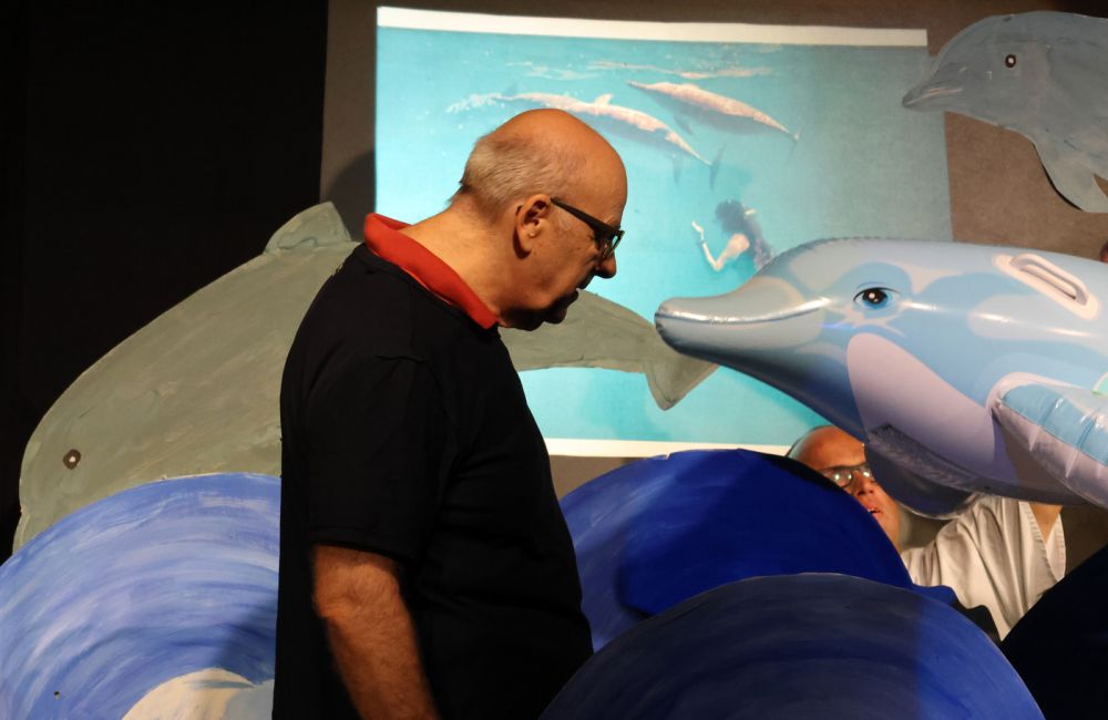 Traum eines Schauspielers: mit Delfinen schwimmen