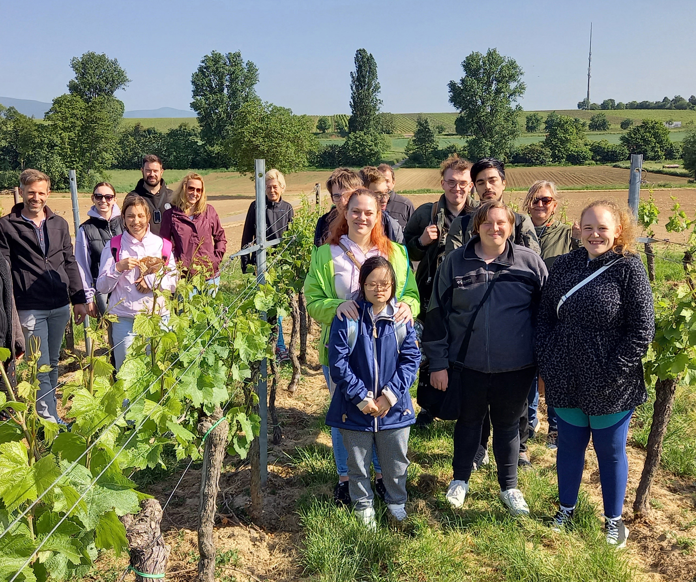 Berufsbildungsbereich Herxheim erprobt Heftdrahthalter im Weinberg 