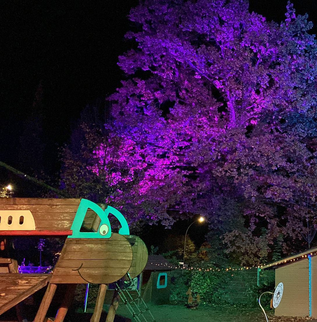 Lichterglanz im Außengelände der Kita "Pusteblume" in Bad Bergzabern