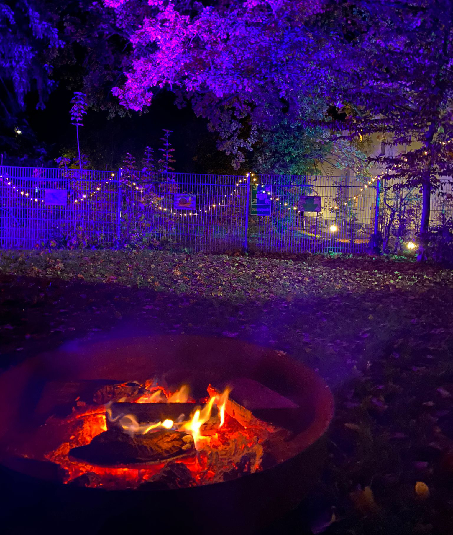Lagerfeuer für Stockbrot beim Lichterfest der Kita "Pusteblume" in Bad Bergzabern